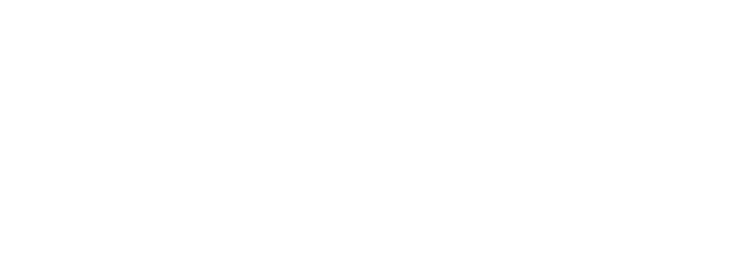 GEO DRONE PILOT